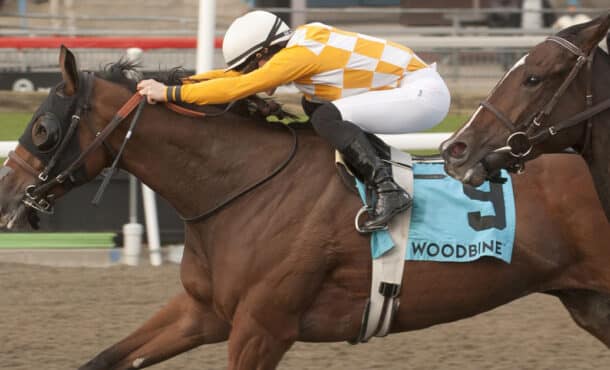 Jockey Emma-Jayne Wilson and Who's the Star winning the Durham Cup Stakes.