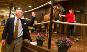 Scene from a horse auction.
