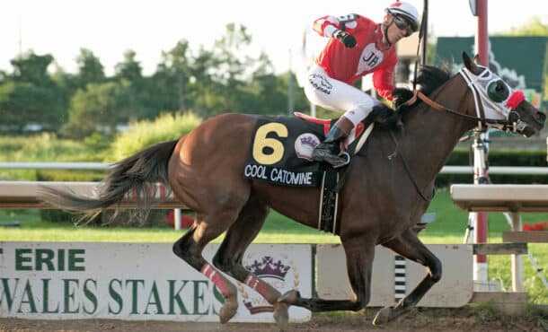 Cool Catomine winning the Prince of Wales Stakes.