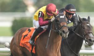 Two racehorses heading to the finish at Woodbine.