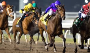 Horses racing at Woodbine.