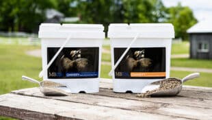 Two buckets of Mad Barn products.