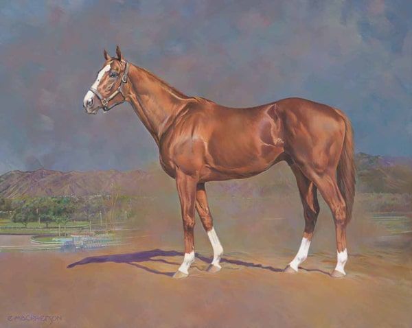 Conformation portrait of a chestnut stallion.