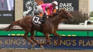 A chestnut horse racing at Woodbine.