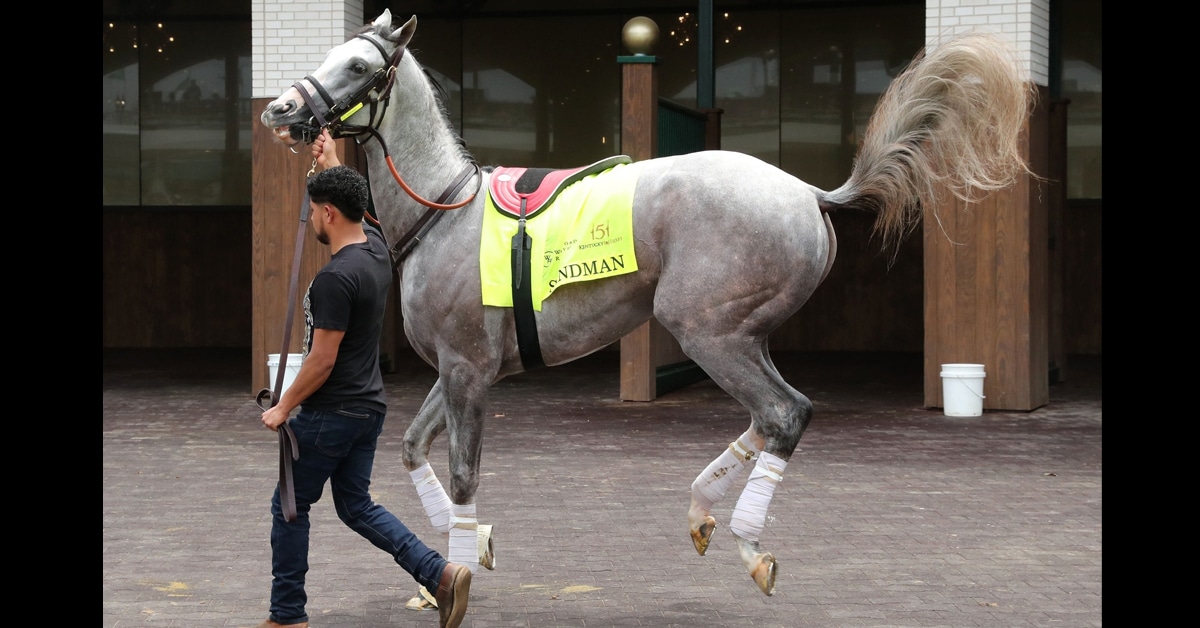 A man leading a grey racehorse that is acting up.