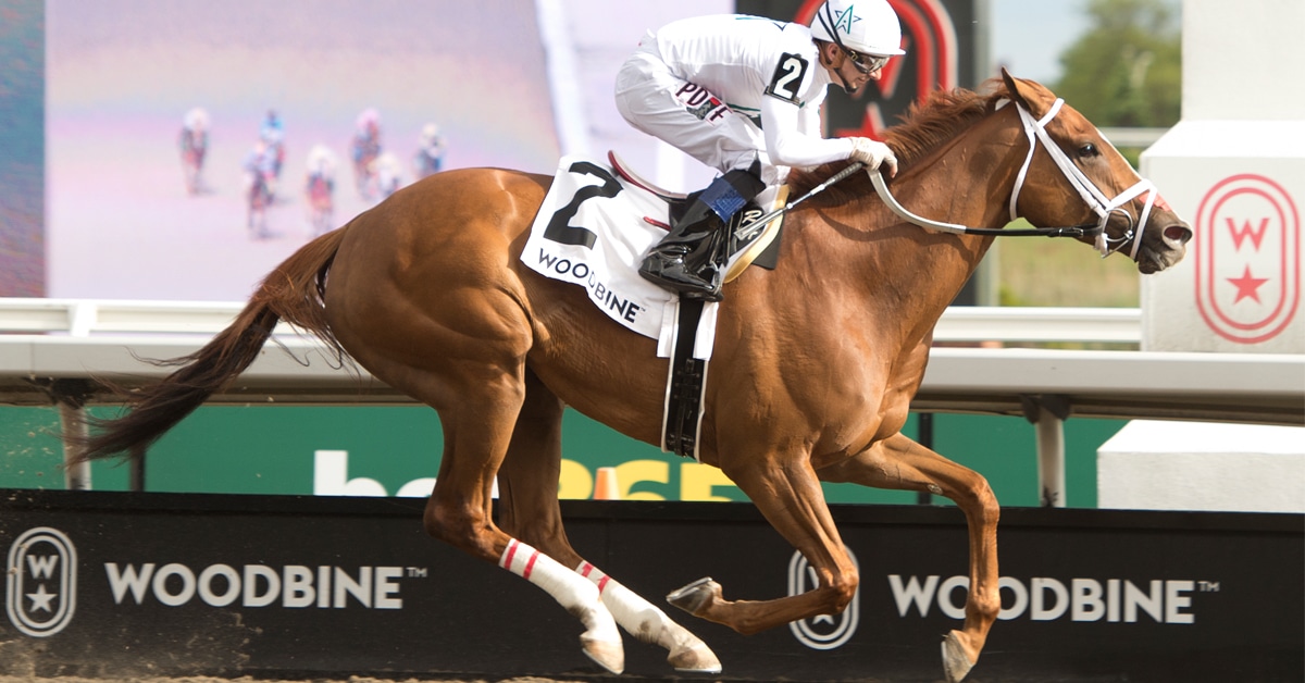 A chestnut mare winning a race at Woodbine.