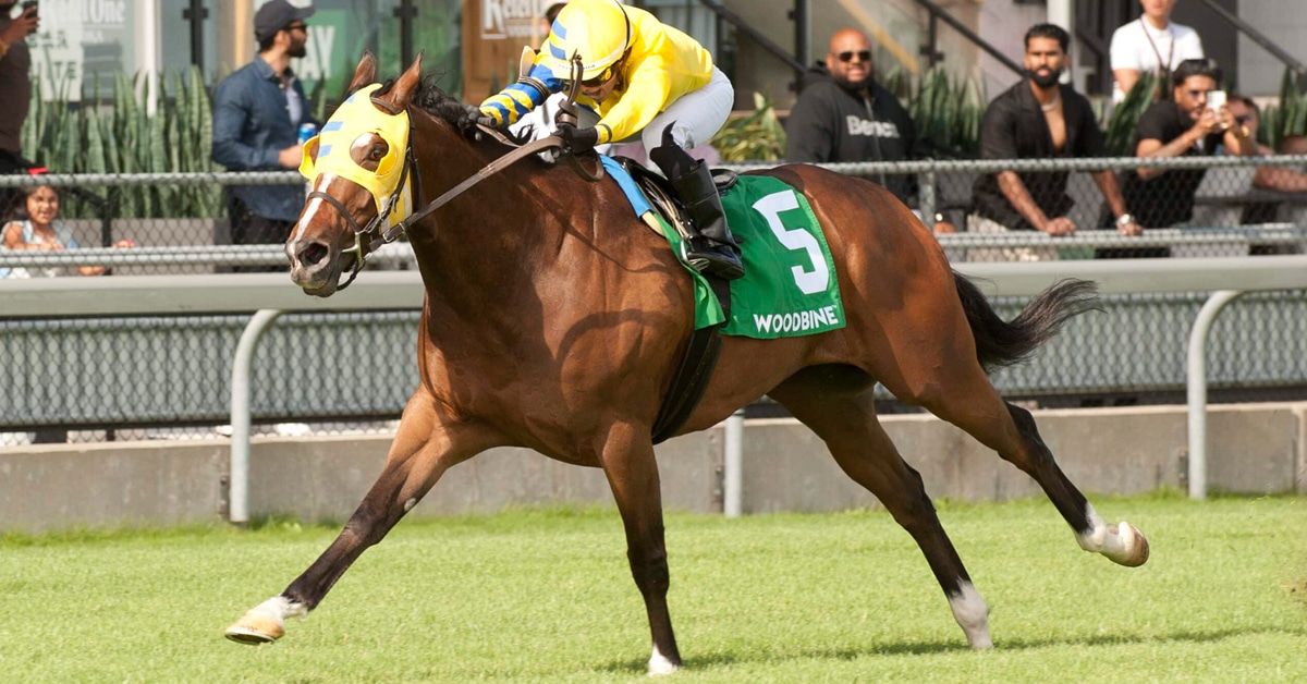 Thumbnail for Saturday Woodbine: Patches O’Houlihan Injured in Highlander