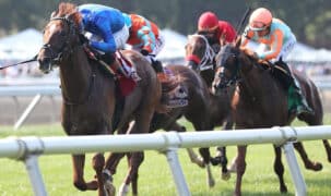 A group of horses running at Monmouth.