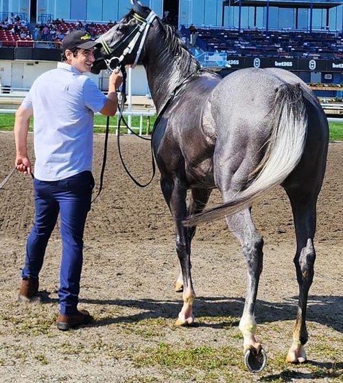 A man leading a grey horse across the track.