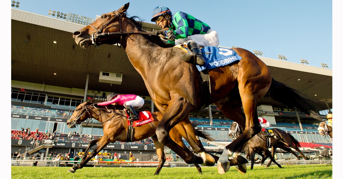 Thumbnail for Plate Trial Attracts Field of 10