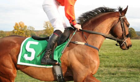 A bay racehorse galloping with a jockey up.