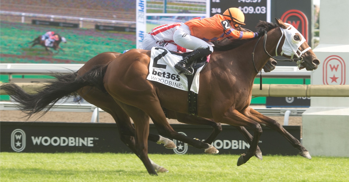 Thumbnail for Sunday Stakes: Cruden Bay Returns, Gimme a Nother Tests Turf