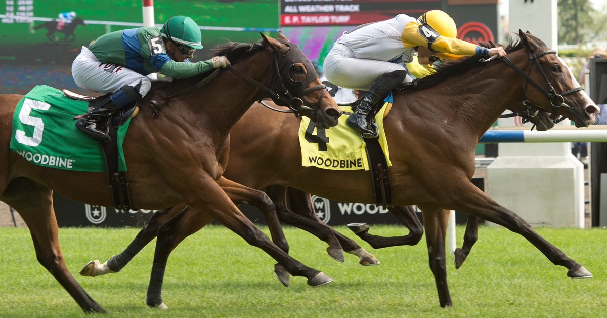 Thumbnail for Ready for Shirl Takes Canadian Stakes