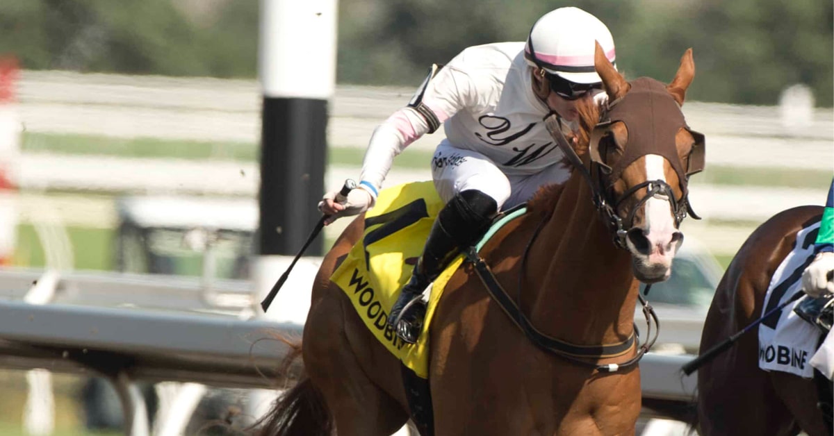 Thumbnail for Sedburys Ghost Upsets Plate Trial for Yawen Wu, Barb Minshall