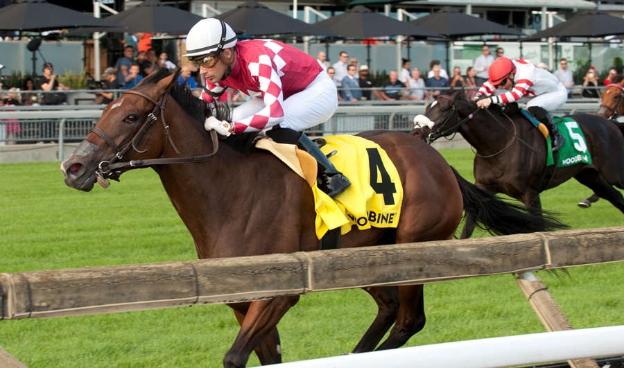 A jockey wearing pink and white silks.