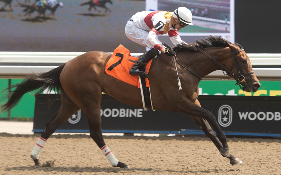 A jockey wearing red and white silks.