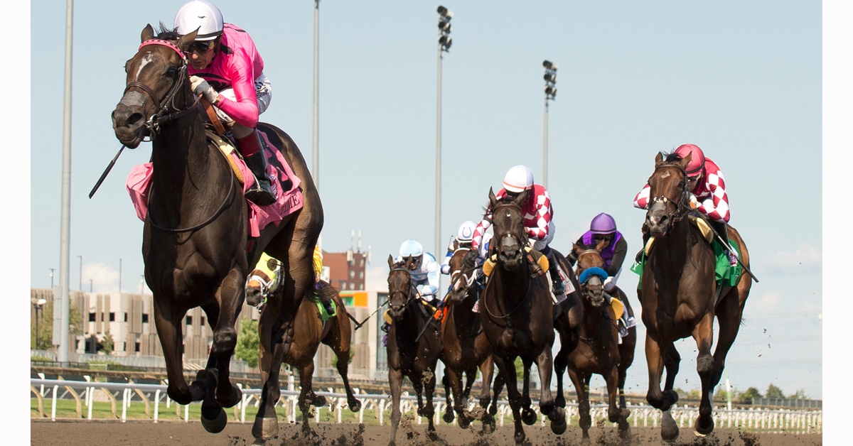 Thumbnail for No Time is On Time in Woodbine Oaks, Plate Next