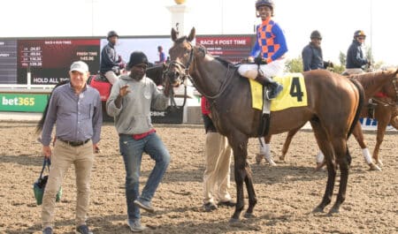 A groom dancing while holding a horse in the winners circle.