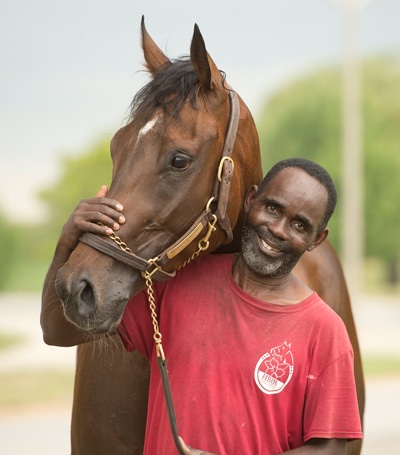 A smiling man holding a bay horse.