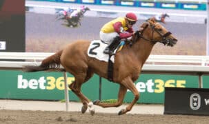 A chestnut horse winning a race at Woodbine.