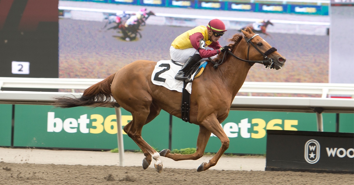 Thumbnail for Ontario Colleen and Trillium Stakes Fields