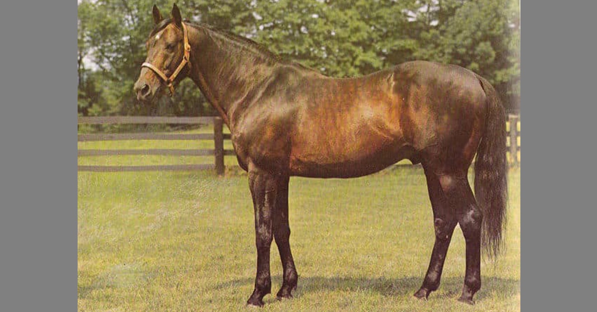 Thumbnail for 100th Queen’s Plate In 1959 Run On a Tuesday For The Queen