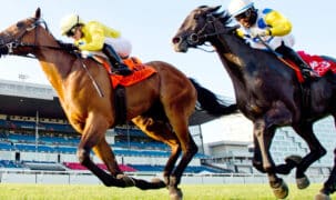Horses racing at Woodbine.