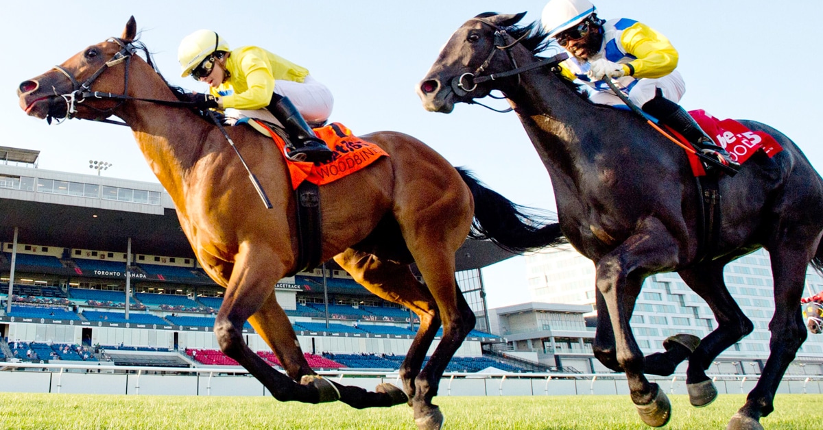 Thumbnail for Ontario Sired Heritage Series: Second Round Sunday at Woodbine