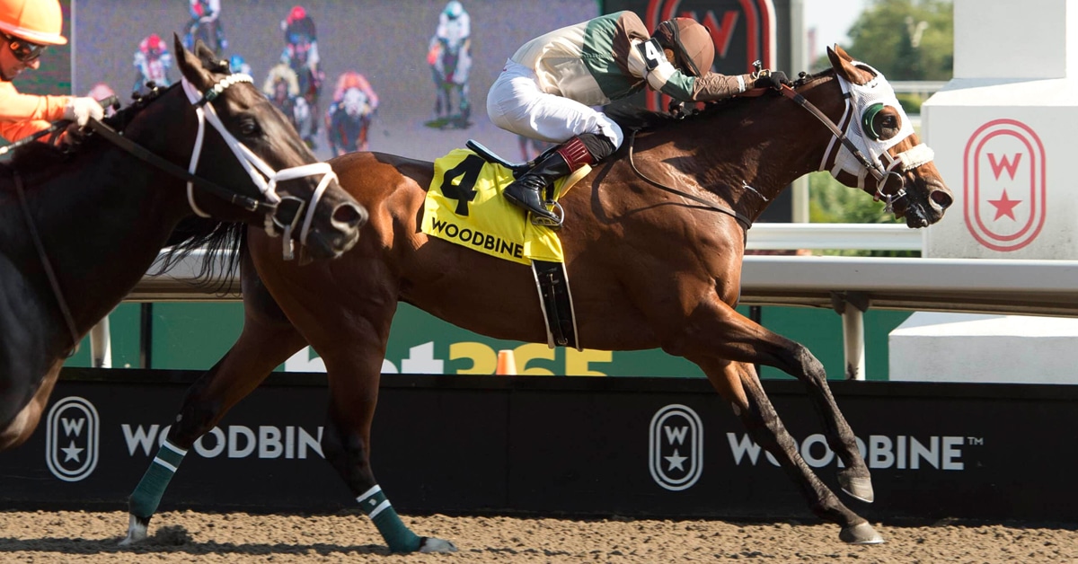 Horses racing at Woodbine.