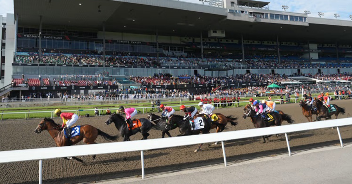Horses racing with a large crowd in the background at Woodbine.