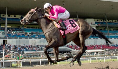 A horse winning a race at Woodbine.