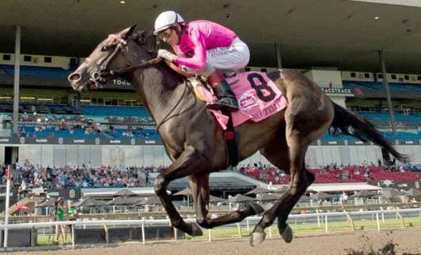 A horse winning a race at Woodbine.