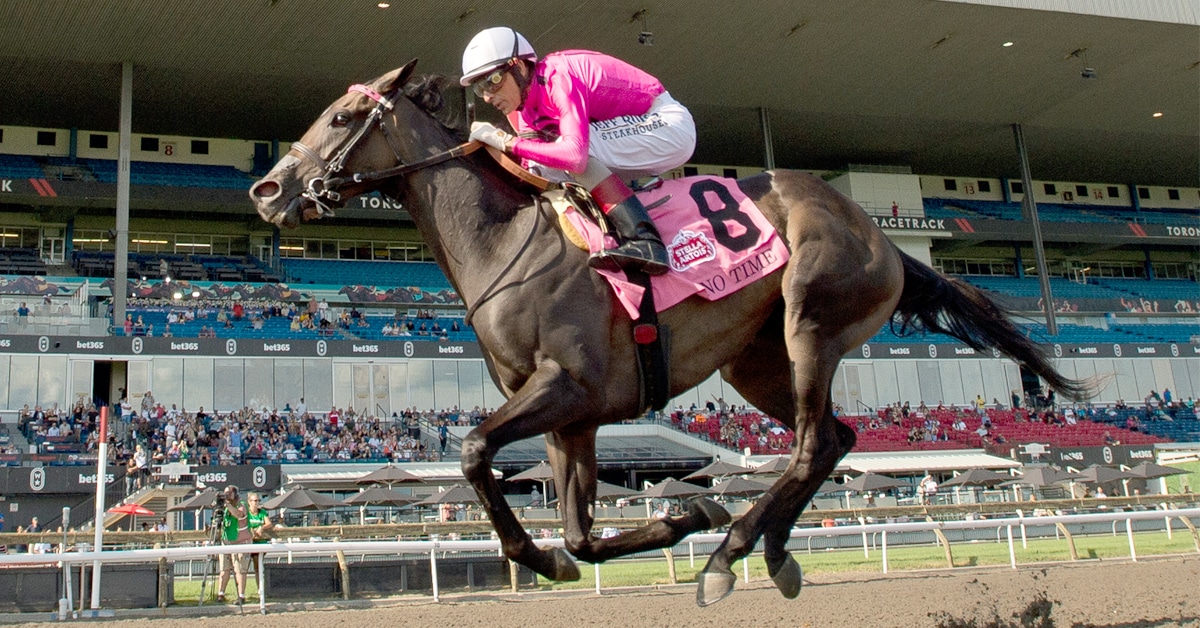 A horse winning a race at Woodbine.
