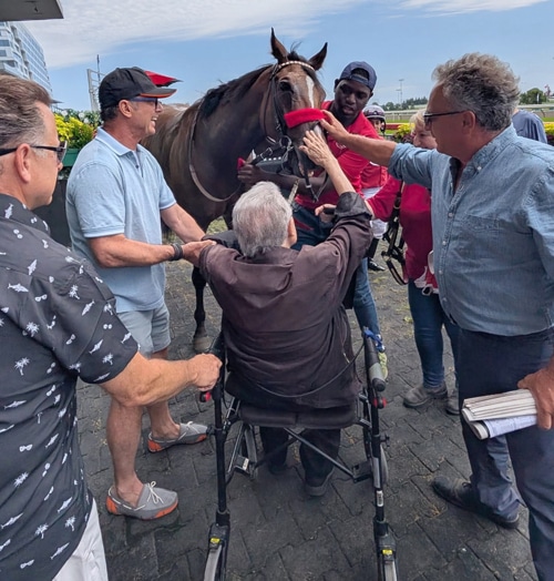 A man in a wheelchair petting a horse.