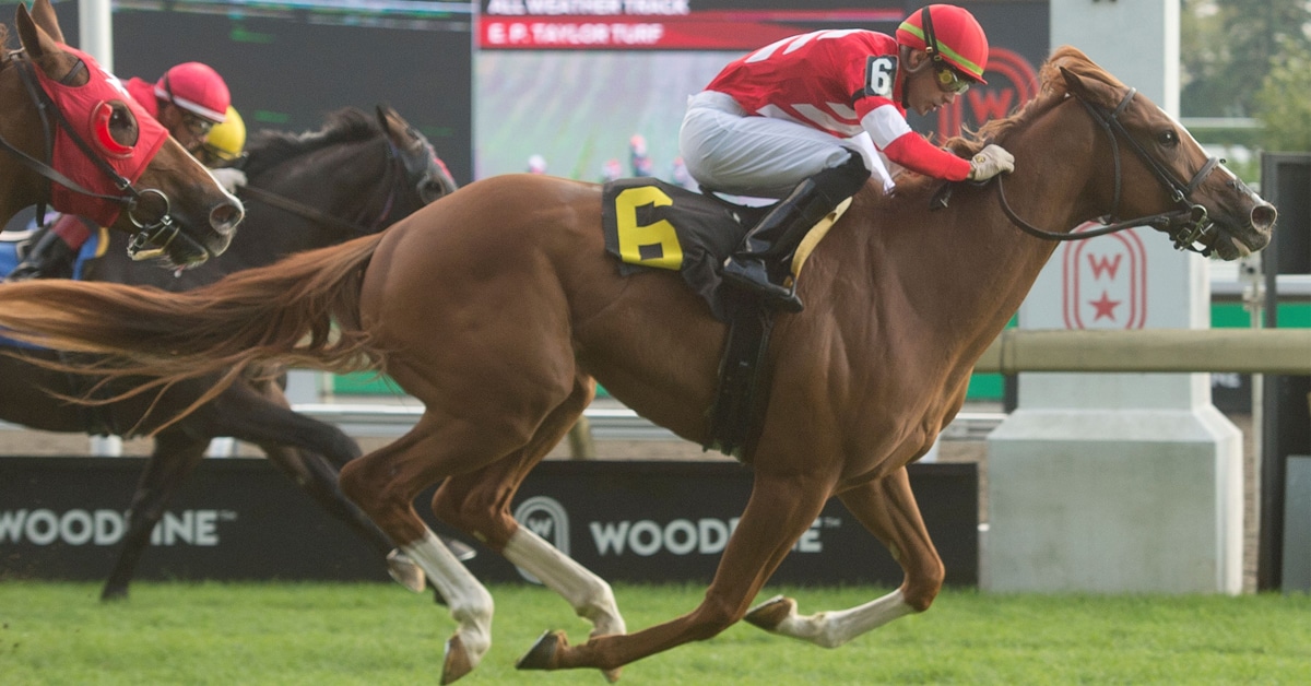 A chestnut horse winning a race at Woodbine.
