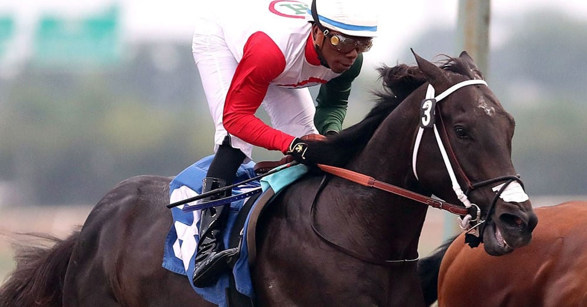 A dark bay horse winning a race at Assiniboia Downs.
