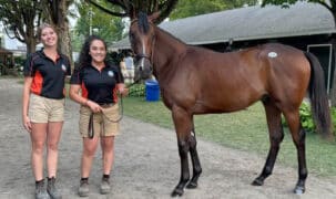 Two women holding a horse at a sale.