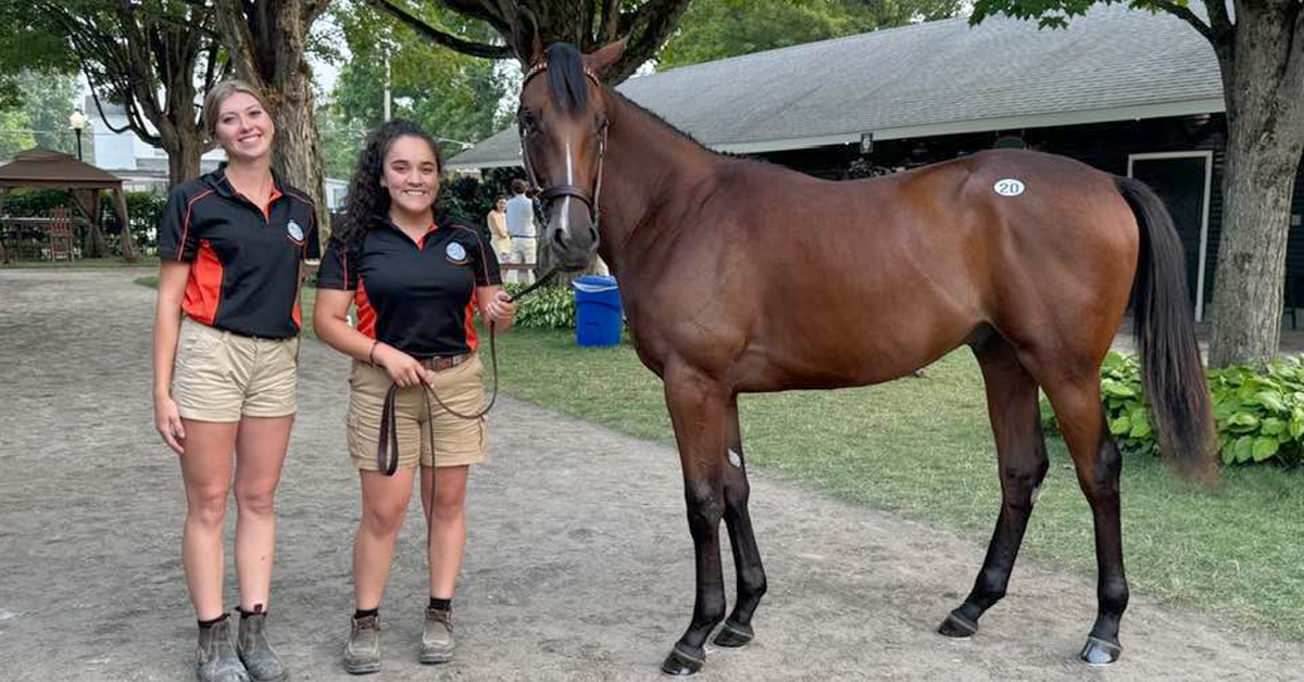 Two women holding a horse at a sale.