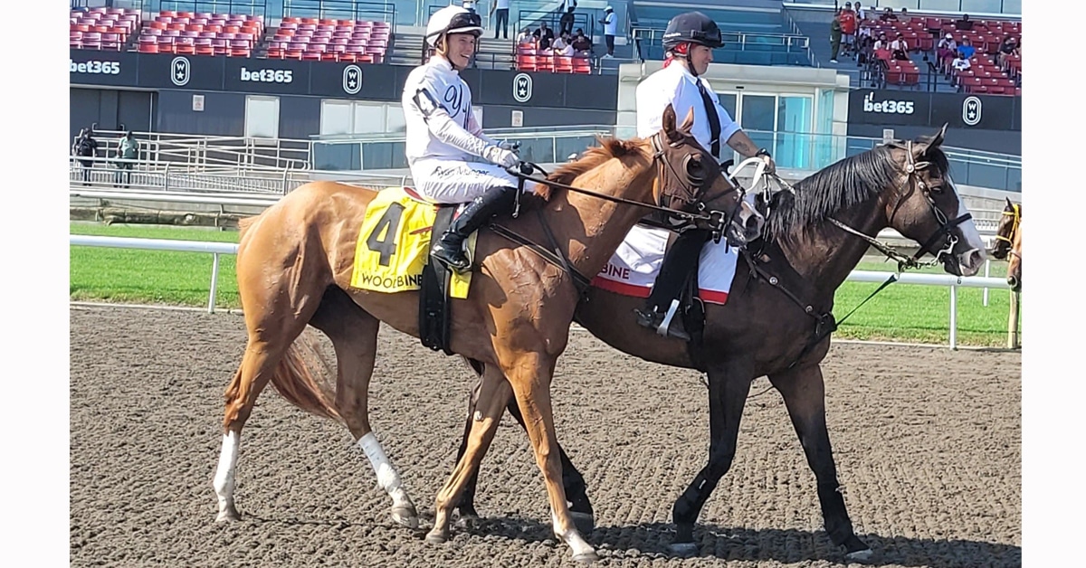 A chestnut horse with jockey up being ponied at Woodbine.