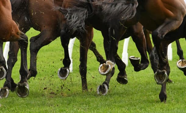 Closeup of horses' legs while racing.
