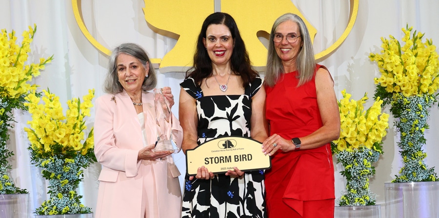 Three women on a stage.