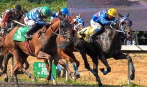Horses racing at Hastings.