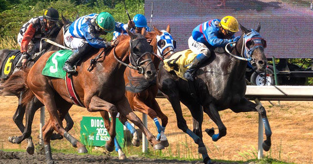 Horses racing at Hastings.