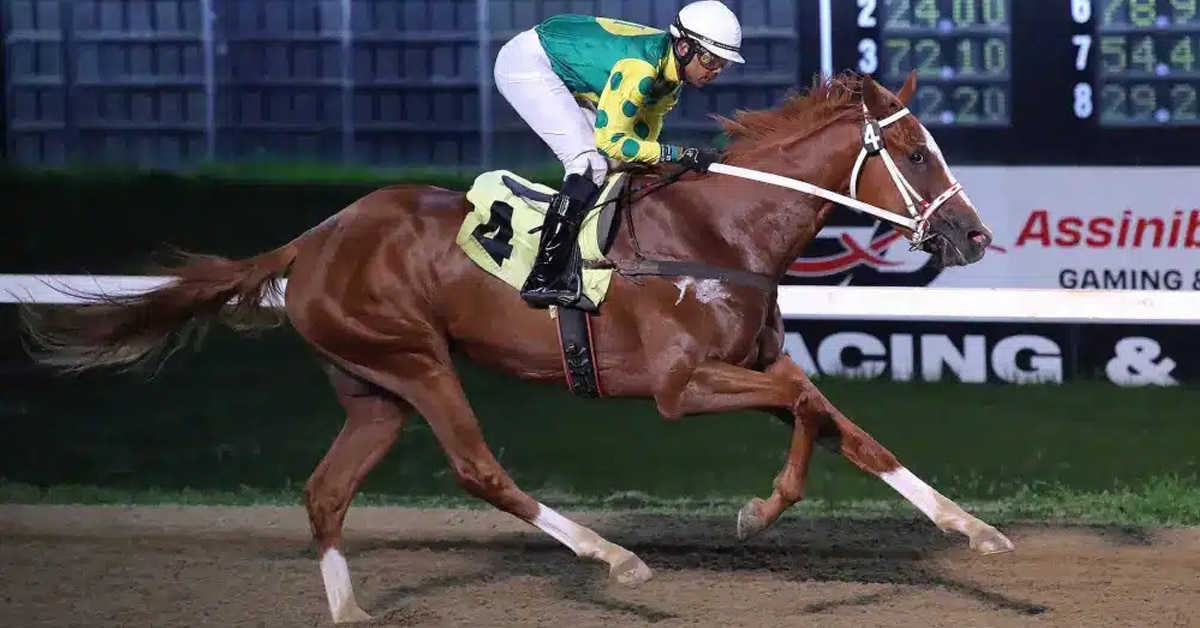 A chestnut horse winning a race.