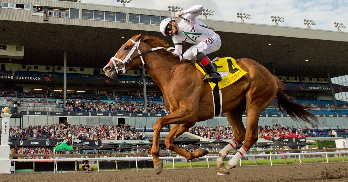 A chestnut mare winning a race at Woodbine.