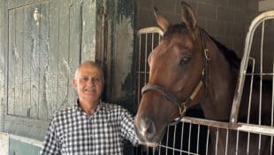 A man standing with a bay horse in its stall at the track.