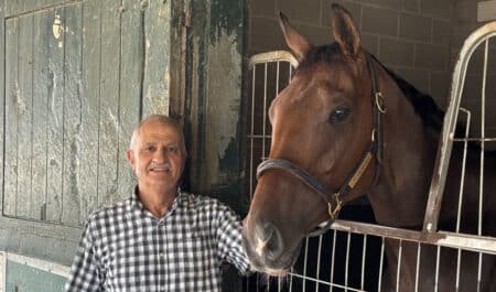 A man standing with a bay horse in its stall at the track.