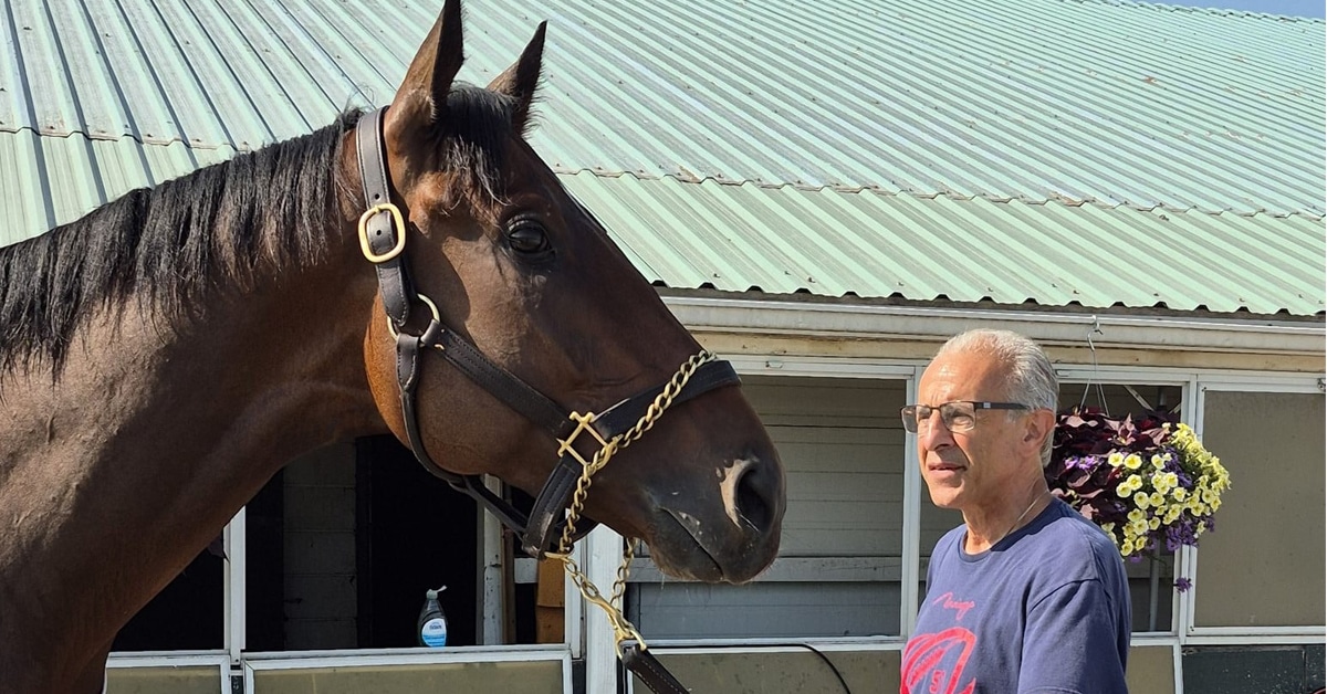 A man holding a bay horse on the Woodbine backstretch.