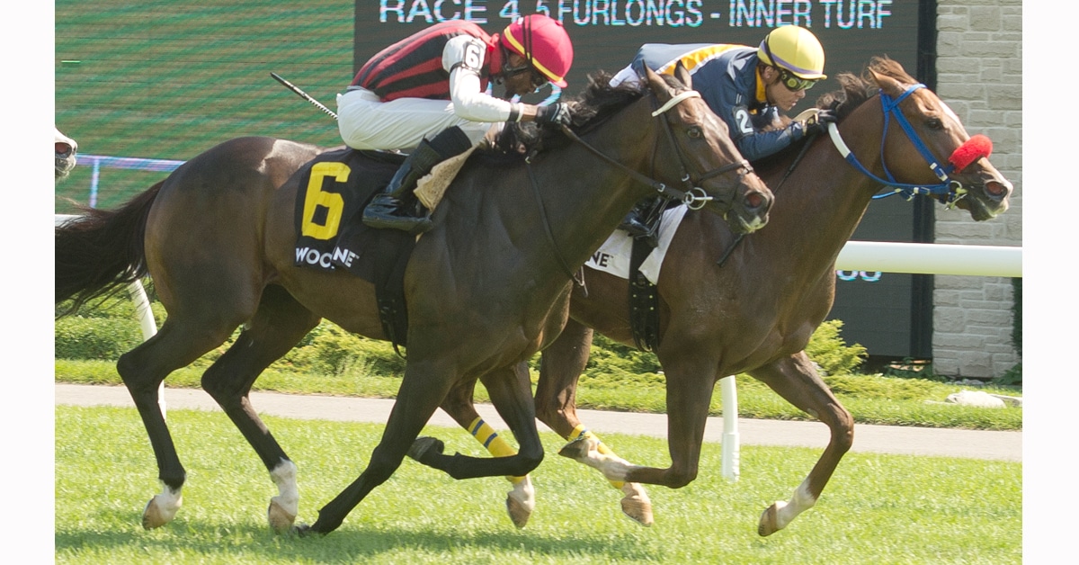 Horses racing at Woodbine in 2022.