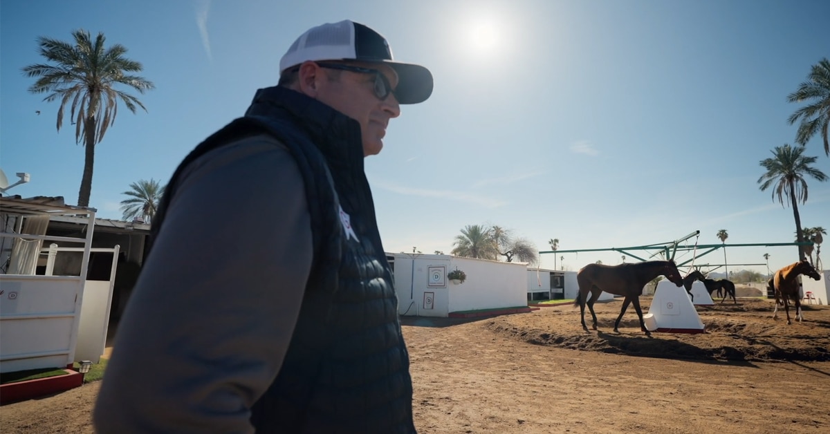 A man on the backstretch; horses on a hotwalker.